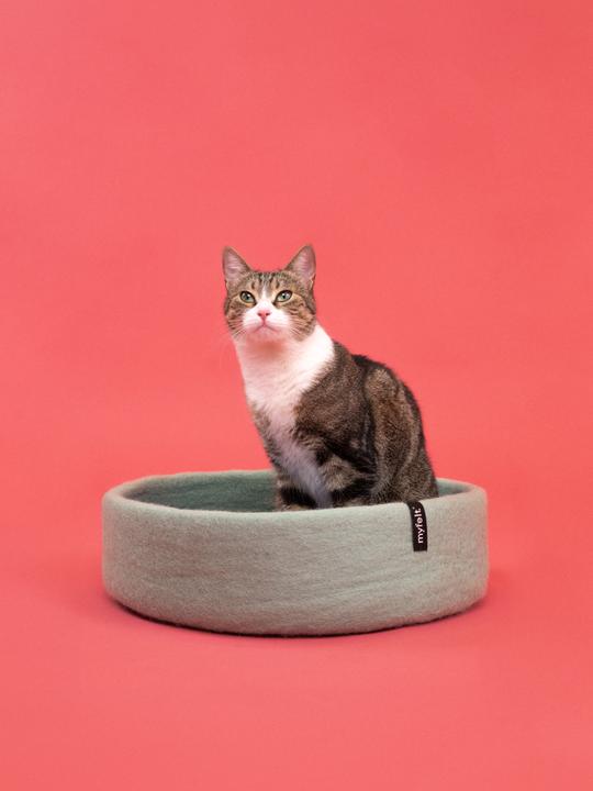 Produktbild Myfelt Fine (Katze)