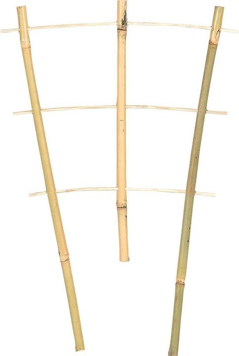 Image du produit Siena Garden Support de plantes (30 cm, 17 cm)