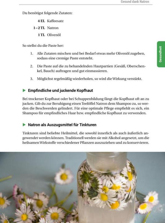 Produktbild Das Natron-Handbuch (Deutsch, smarticular Verlag, 2018)
