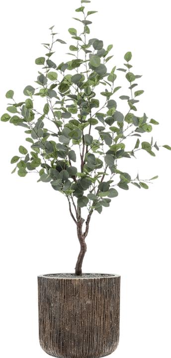 Image du produit Emerald Merna (120 cm)