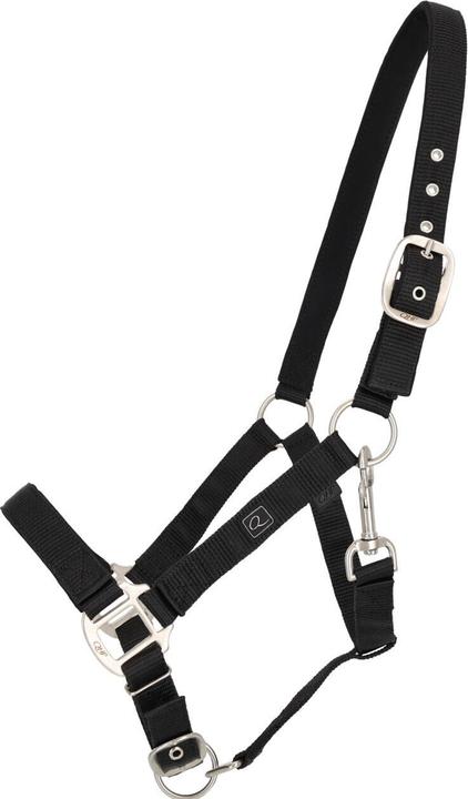 Image du produit Qhp Licol pour cheval avec doublures