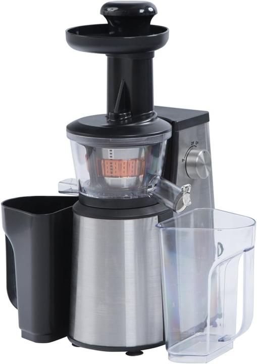 RGV Juice Art New SlowJuicer Juicer400 Watt, 60rpm