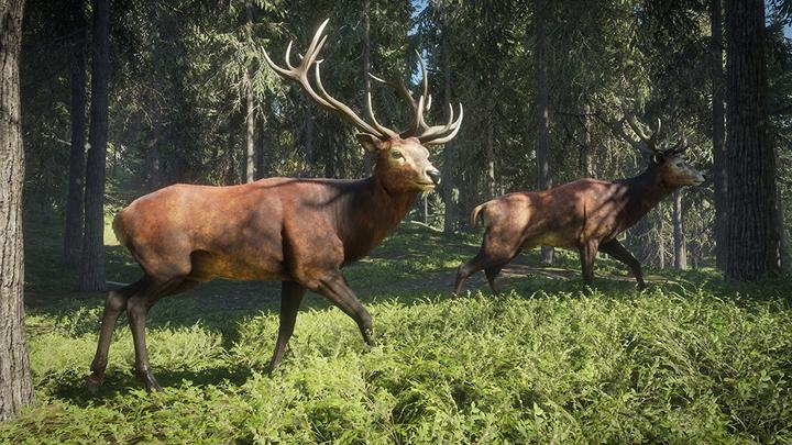 Image du produit astragon Le chasseur : Appel du gibier (PC)
