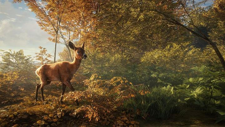 Image du produit astragon Le chasseur : Appel du gibier (PC)