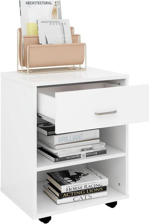 Actual product image vidaXL Aktenschrank (46 x 36 x 59 cm)