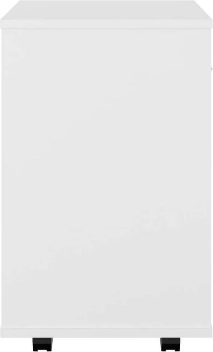 Actual product image vidaXL Aktenschrank (46 x 36 x 59 cm)