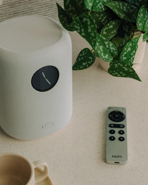 Image du produit WiiM Son Lpwisndw (Amazon Alexa, Apple Siri, Assistant Google)
