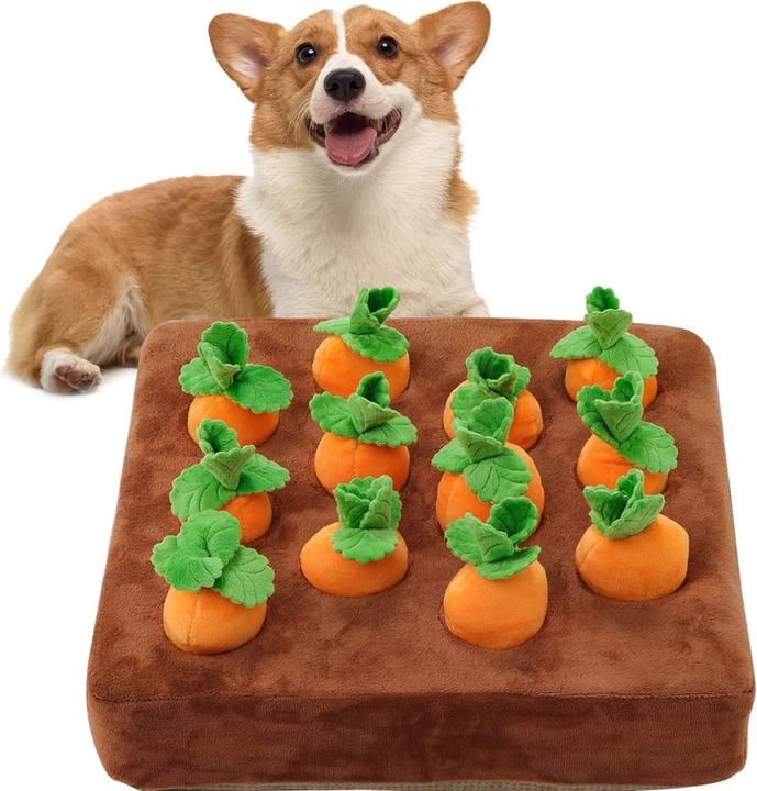 Produktbild Suba Intelligenzspielzeug (Intelligenzspielzeug Hund)