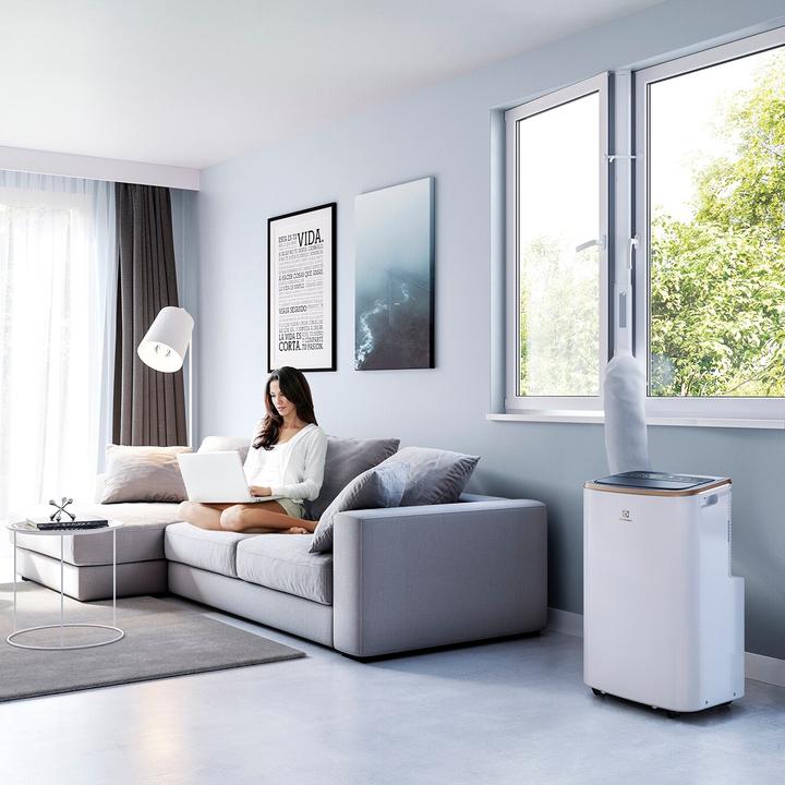 Image du produit Electrolux Chill Flex Pro Gold (40 m², 9000 BTU/h)