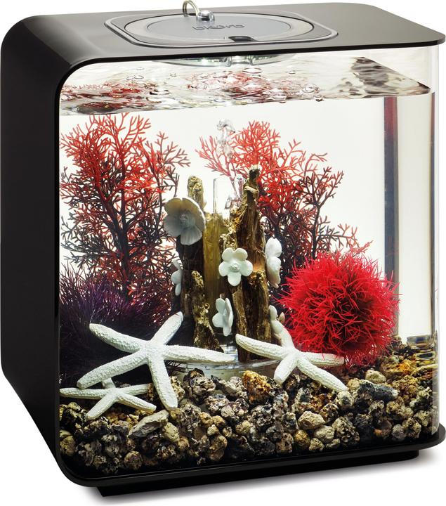 Productafbeelding Oase biOrb Aquarium 15 Decoratieset (Decoratie, Andere objecten)