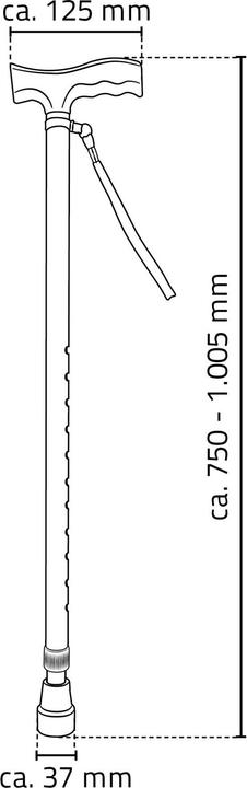 Produktbild Ridder Gehstock