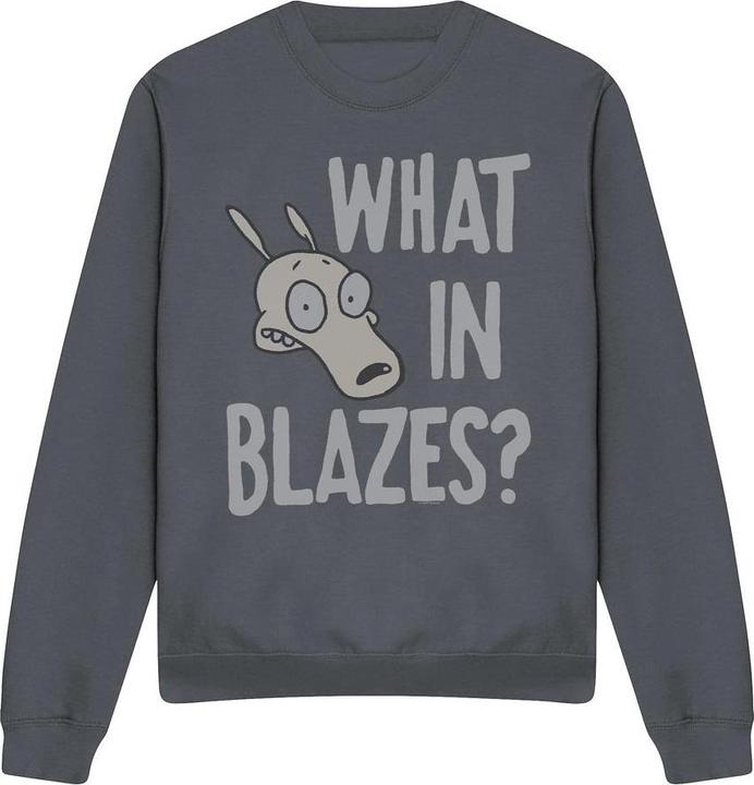Produktbild Rocko´s Modern Life Rocko's Modern Life What In Blazes? Sweatshirt (XXL)