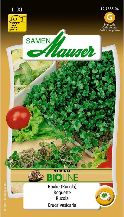 Actual product image Samen Mauser Organic food seedlings rocket (Seedlings)