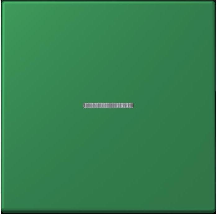 Actual product image JUNG Rocker