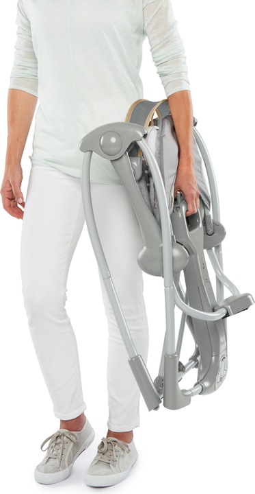 Actual product image Ingenuity Swing