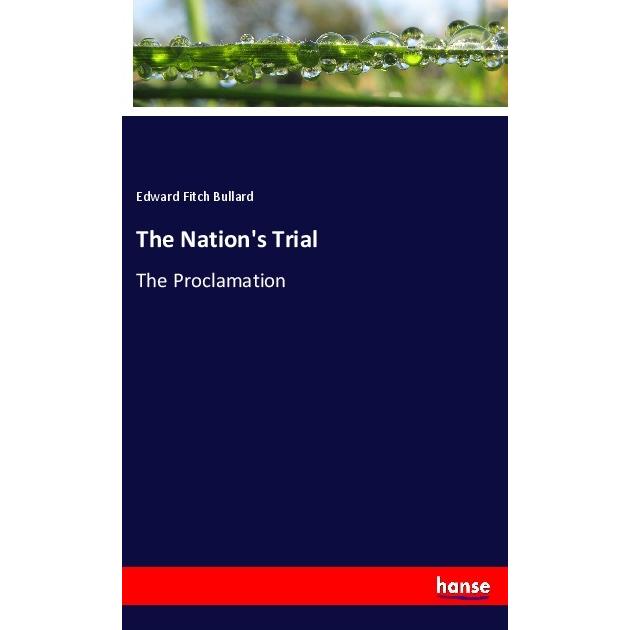 The Nation's Trial, Fachbücher von Edward Fitch Bullard
