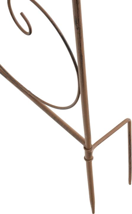 Immagine prodotto CLP Mandevilla (1 cm, 99 cm)