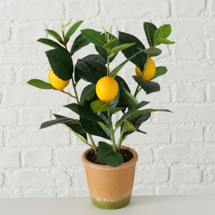 Actual product image Boltze Home Pot Plant Lemon 32cm indoor (32 cm)