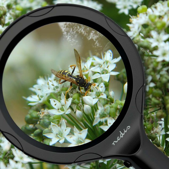 Actual product image Nedis Handlupen | Linsenstärke: 4 Diopter | 10000 K | 0.05 W | 9 lm | Schwarz