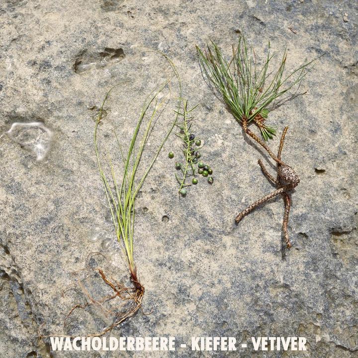 Actual product image Jil Sander Sun - Men Eau de Parfum (Eau de parfum, 40 ml)