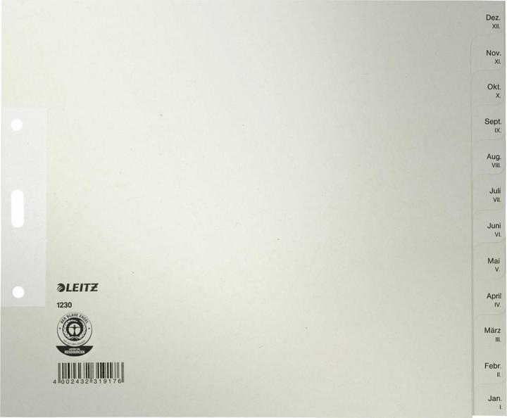 Immagine prodotto Leitz Registra la carta