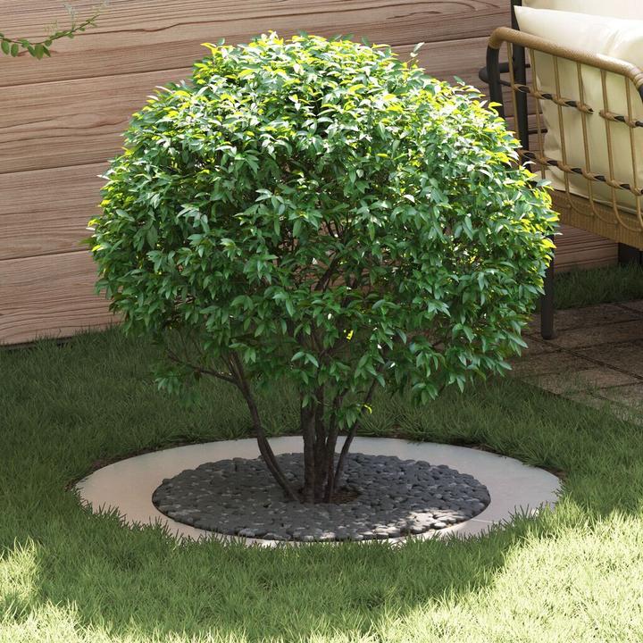 Produktbild vidaXL Dekorativer Baum