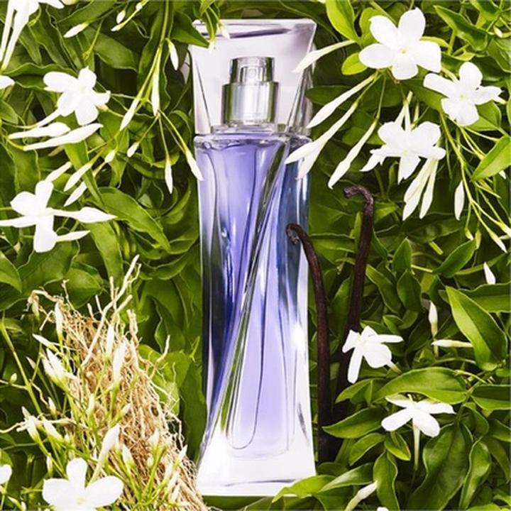 Actual product image Lancôme Hypnosis (Eau de parfum, 75 ml)