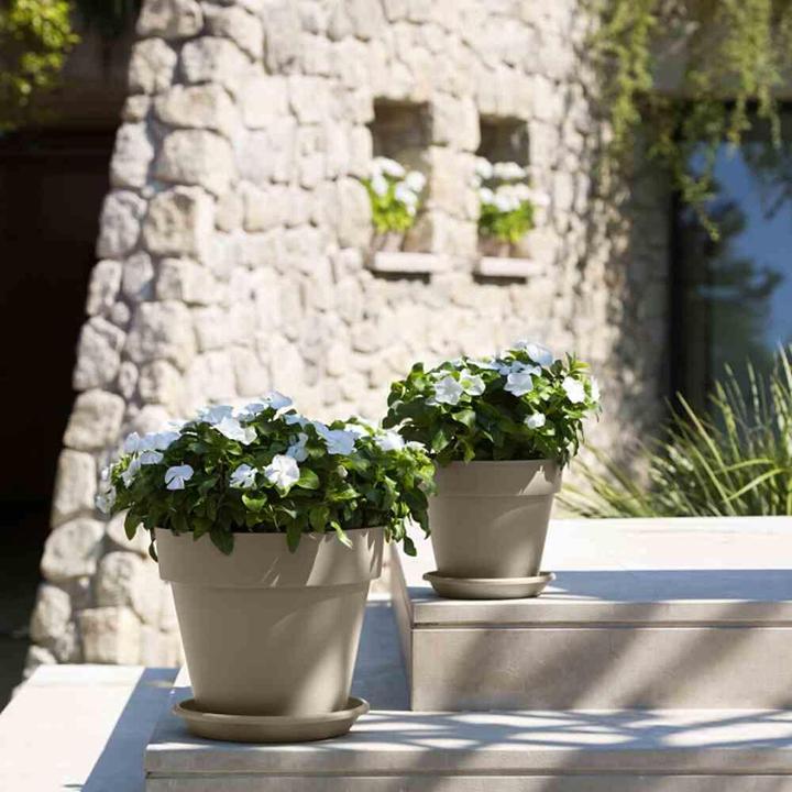 Actual product image Euro3plast Coaster Medea, suitable for bucket Ø 25 cm, Ø 24x3,7 cm, made of plastic in beige