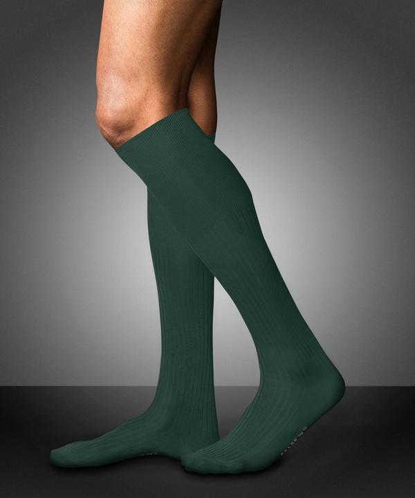 Immagine prodotto Falke No. 10 KH (41 - 42)