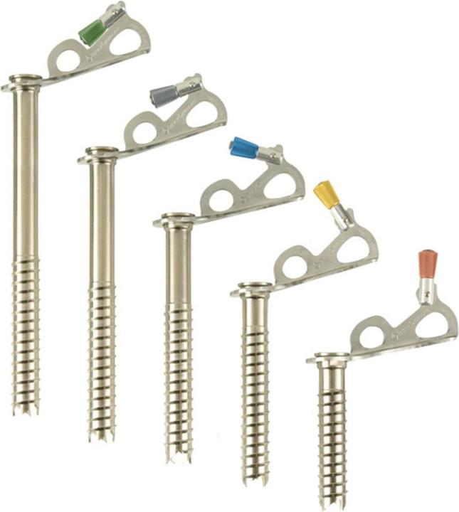 Image du produit Black Diamond Vis à glace express 16cm