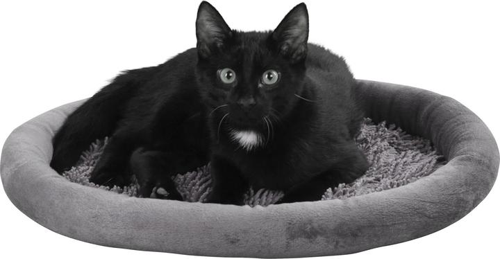 Image du produit Kerbl Sweety (Chat)