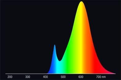 Produktbild Radium LED-Linienlampe (S14d, 3.10 W, 275 lm, 1 x, F)