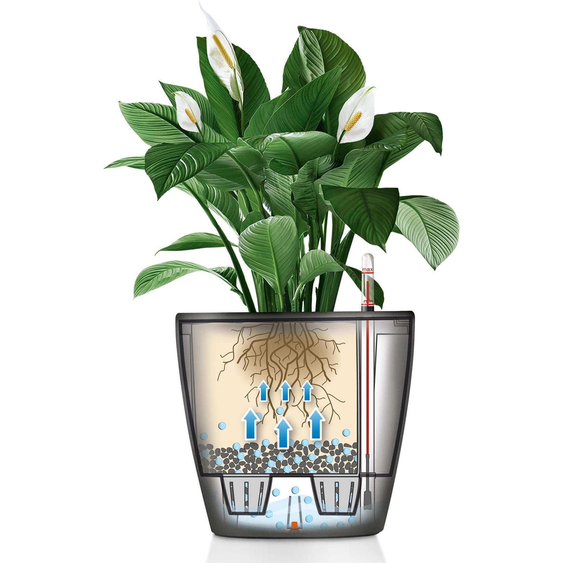 Lechuza, Vaso Da Fiori, Classico (49.50 X 46.50 Cm)