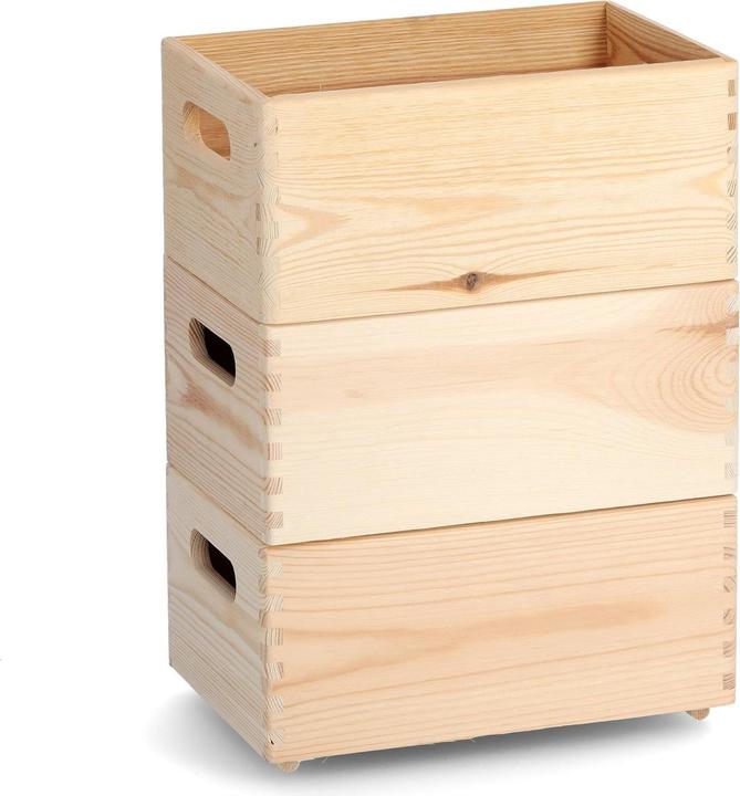 Immagine prodotto Zeller Present Scatola multiuso (30 x 20 x 15 cm, 9 l)