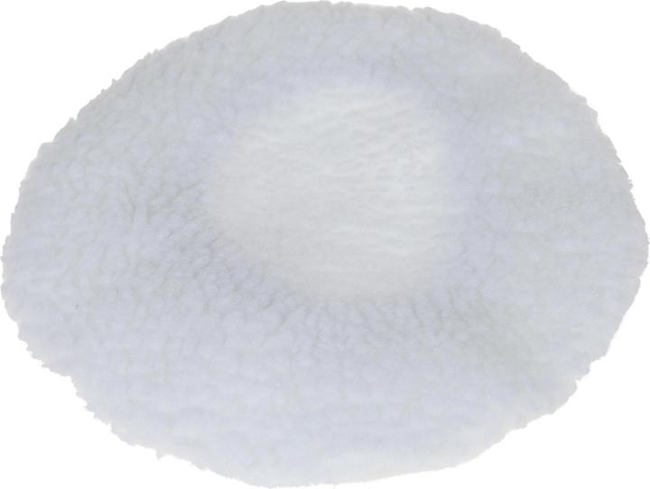 Produktbild FTM Poliermaschine (Exzenterpolierer, 110 W)