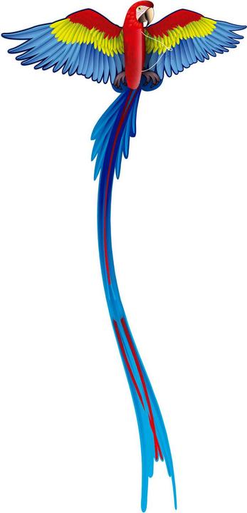 Actual product image Eolo Kites Ready 2 Fly - Pop-up 3D Kite Parrot