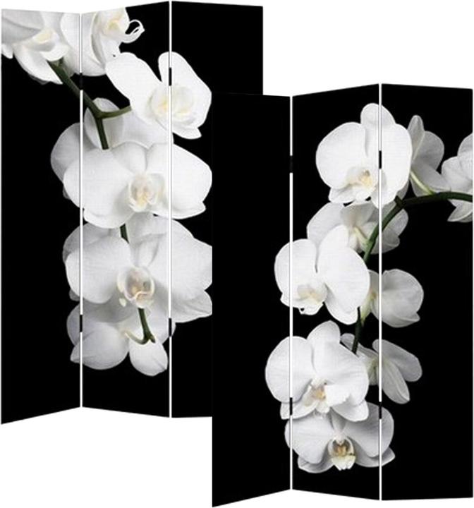 HTI-Line Paravent Natur