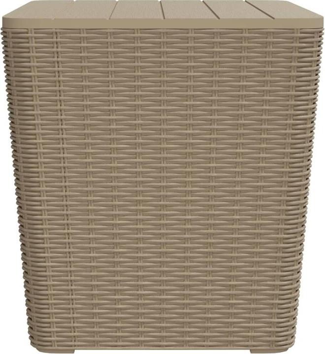 Image du produit vidaXL Gartentisch mit abnehmbarer Tischplatte