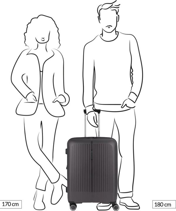 Immagine prodotto Gabol Carrello Brooklyn Medio Espandibile (70 l)