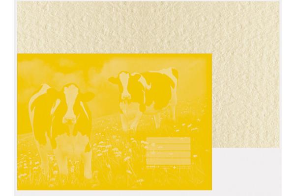 Actual product image Ingold-Biwa Drawing book (A4)