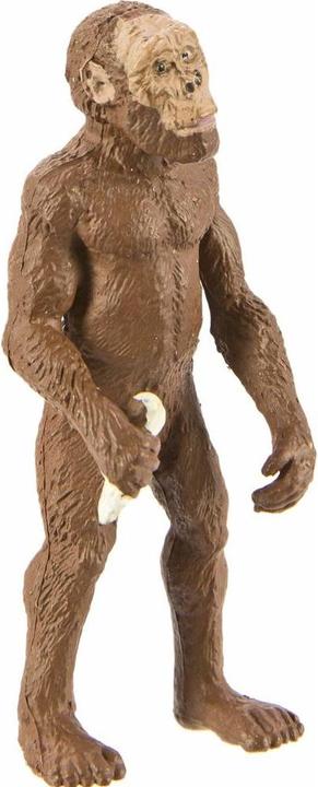 Produktbild Safari Evolution des Menschen