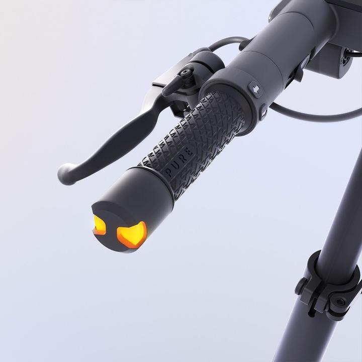 Actual product image Pure Electric Advance Flex (25 km/h, 40 km, 710 W)