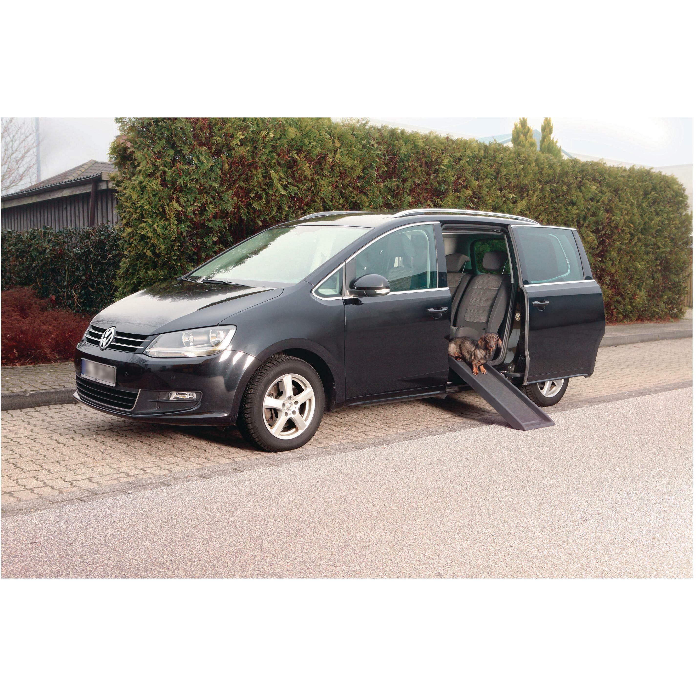 Rampe pour chien Friends On Tour