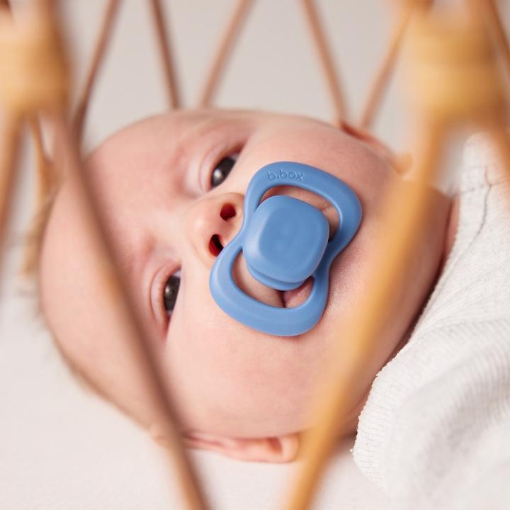 Actual product image B.Box Reversible Ocean-Sky (0 - 6 Months)