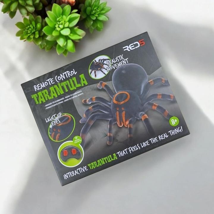 Image du produit JTI Araignée télécommandée - avec télécommande