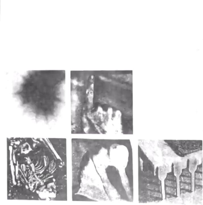 Image du produit Bad Witch (Vinyle) (Nine Inch Nails)