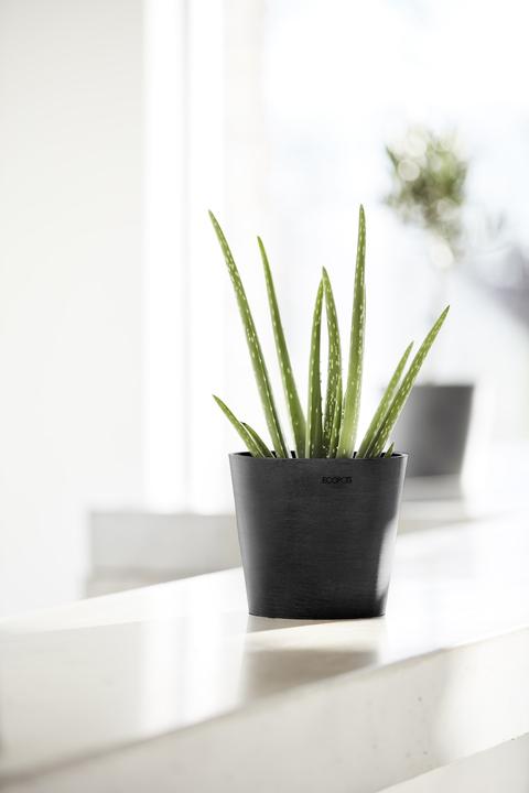 Immagine prodotto Ecopots Amsterdam Mini (17 cm)