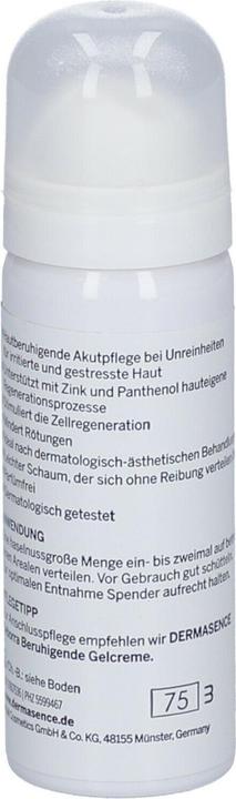 Actual product image Dermasence Seborra Zinc Repair Foam Foam (50 ml, 24h cream)