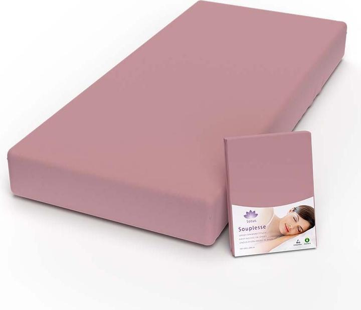 Immagine prodotto Lotus Bettwaren Lenzuolo matrimoniale in jersey Souplesse (90 x 190 cm, 100 x 200 cm, 90 x 200 cm)