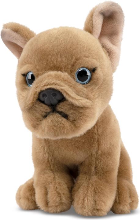 Produktbild Living Nature Französische Bulldogge Welpe beige